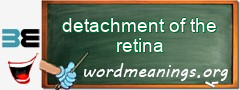 WordMeaning blackboard for detachment of the retina